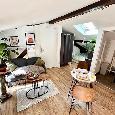 Loft Hortensia Hyper Centre Castres Castres  Ngoại thất bức ảnh