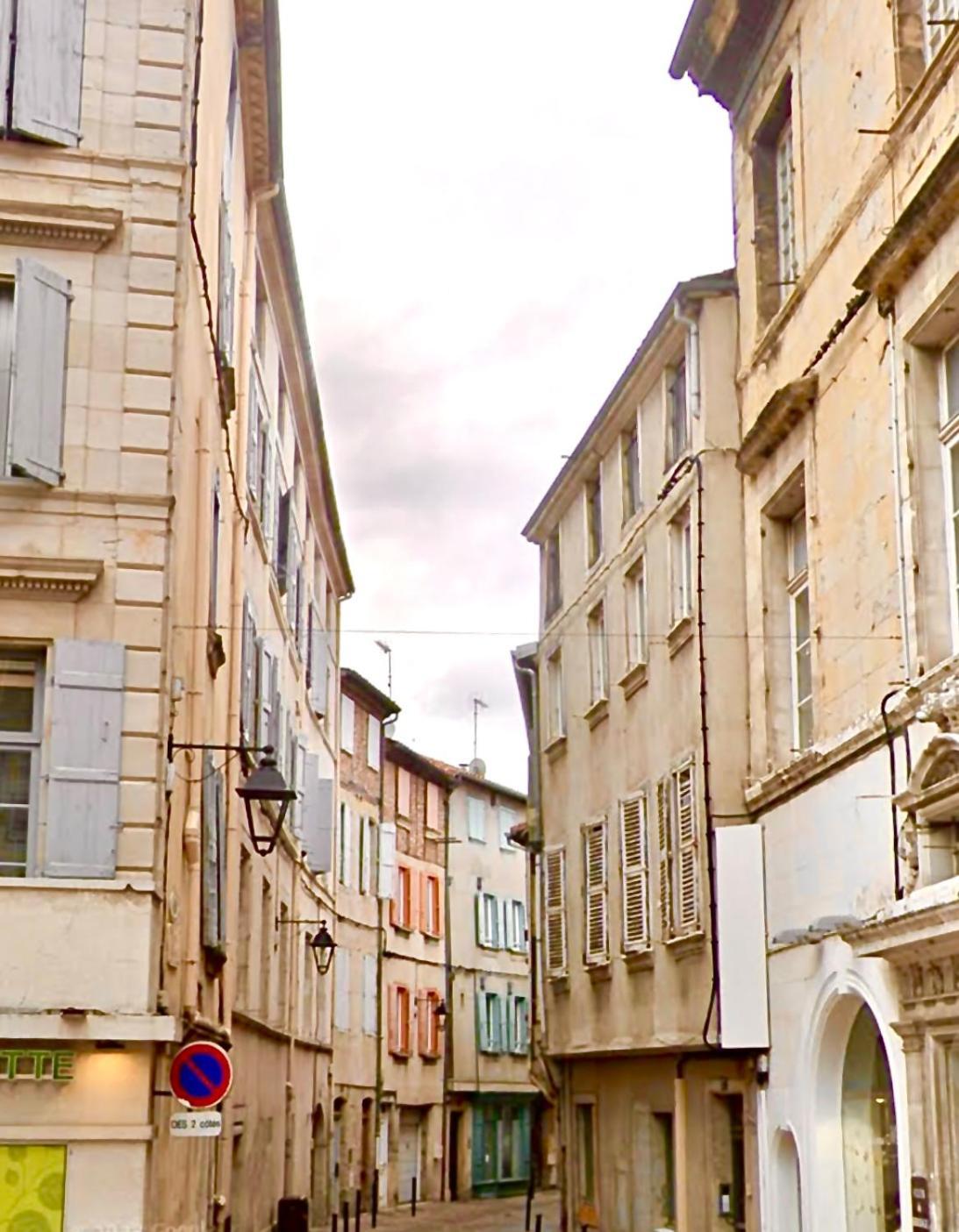 Loft Hortensia Climatise Hyper Centre Castres Castres (Tarn) Ngoại thất bức ảnh