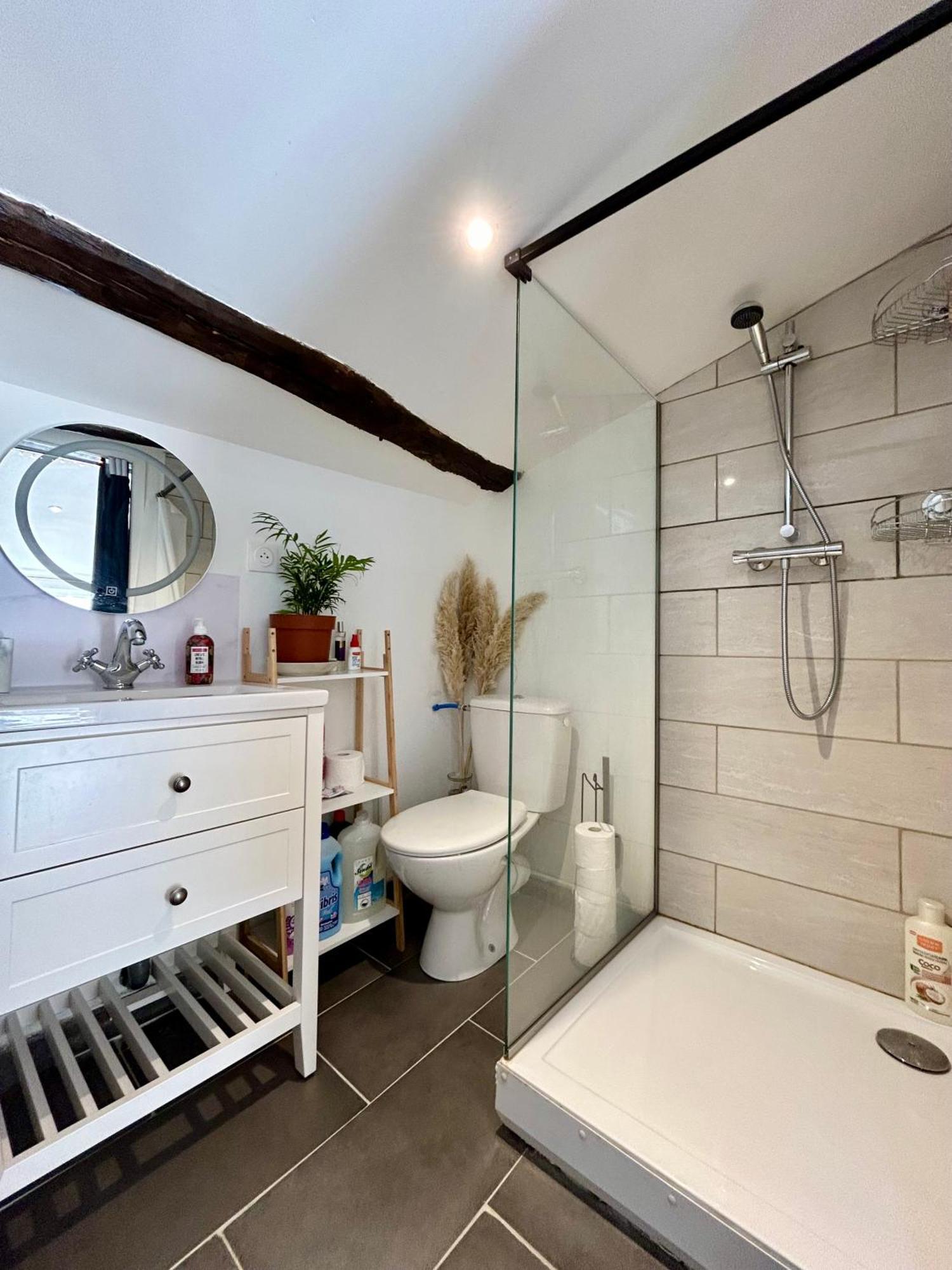 Loft Hortensia Climatise Hyper Centre Castres Castres (Tarn) Ngoại thất bức ảnh