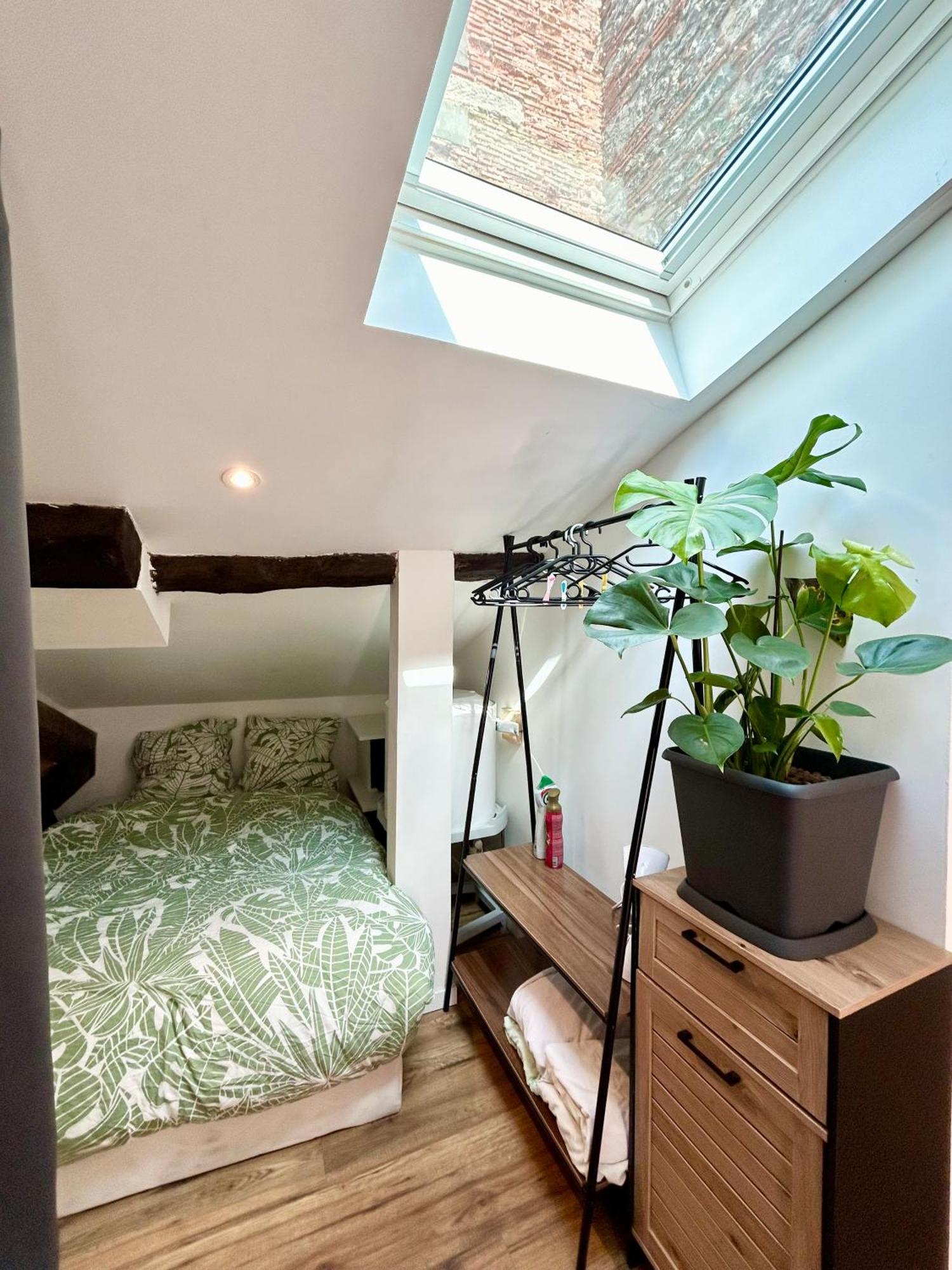 Loft Hortensia Hyper Centre Castres Castres  Ngoại thất bức ảnh