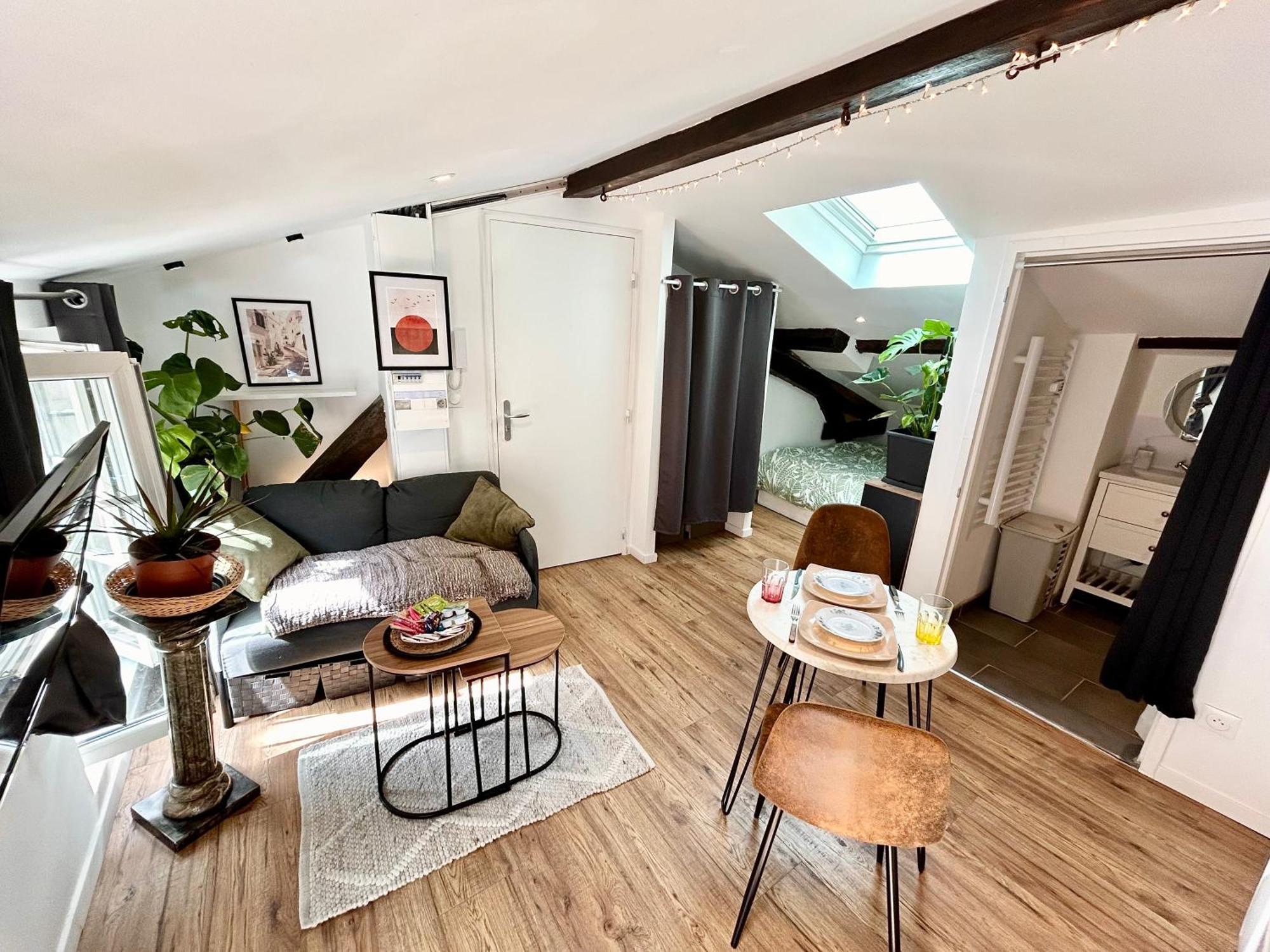 Loft Hortensia Hyper Centre Castres Castres  Ngoại thất bức ảnh